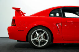 
										2000 Ford Mustang Cobra R full									