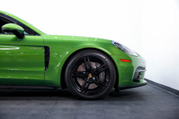 
										2019 Porsche Panamera E Hybrid full									