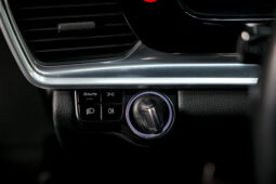 
										2019 Porsche Panamera E Hybrid full									