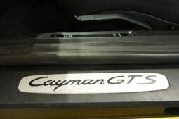 
										2019 Porsche 718 Cayman GTS full									