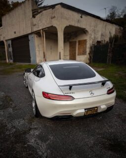 
										2017 Mercedes-Benz AMG® GT S full									