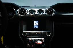 
										2020 Ford Mustang Shelby GT350 full									