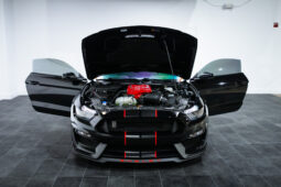 
										2020 Ford Mustang Shelby GT350 full									