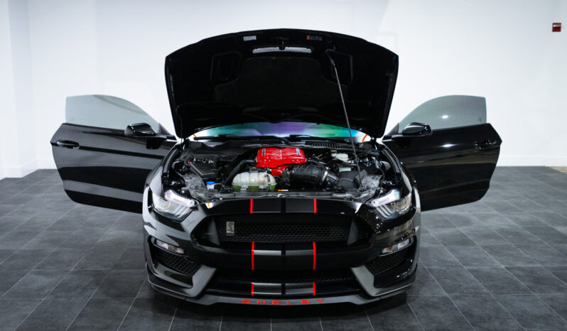 
								2020 Ford Mustang Shelby GT350 full									