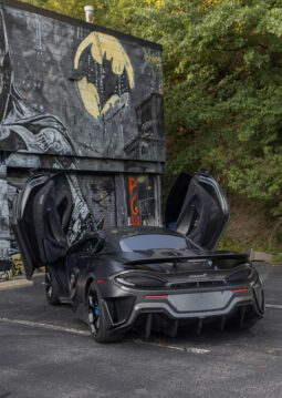 
										2019 Mclaren 600LT full									