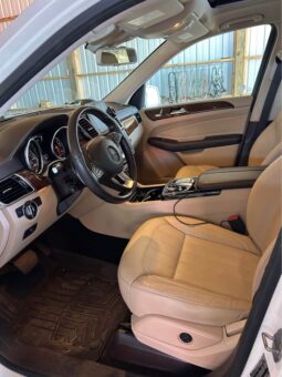 
										2019 Mercedes-Benz GLS 450 4MATIC full									