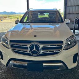 
										2019 Mercedes-Benz GLS 450 4MATIC full									