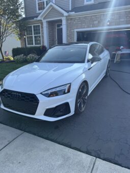 2023 Audi S5 Sportback Premium Plus quattro