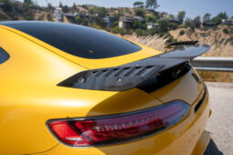 
										2018 Mercedes AMG GT-C full									