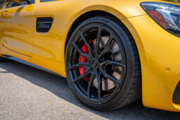 
										2018 Mercedes AMG GT-C full									
