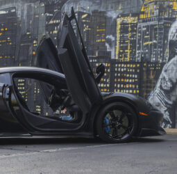 
										2019 Mclaren 600LT full									