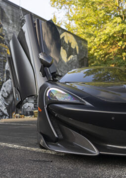 
										2019 Mclaren 600LT full									