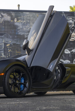 
										2019 Mclaren 600LT full									