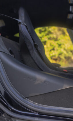 
										2019 Mclaren 600LT full									