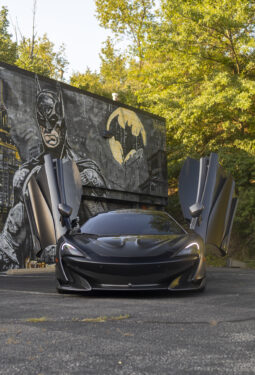 
										2019 Mclaren 600LT full									