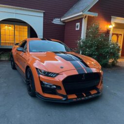 
										2020 Ford Mustang Shelby GT500 full									