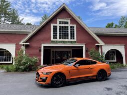 
										2020 Ford Mustang Shelby GT500 full									