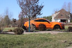 
										2020 Ford Mustang Shelby GT500 full									