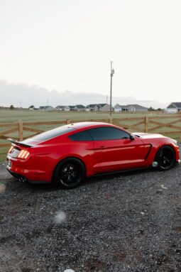 2020 Ford Mustang Shelby GT350