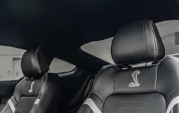 
										2020 Ford Shelby Gt500 full									