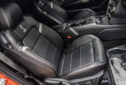 
										2020 Ford Shelby Gt500 full									