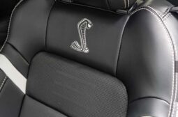 
										2020 Ford Shelby Gt500 full									