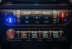 
										2020 Ford Shelby Gt500 full									