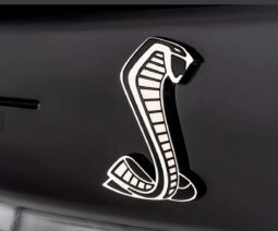 
										2020 Ford Shelby Gt500 full									