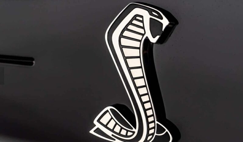 
								2020 Ford Shelby Gt500 full									