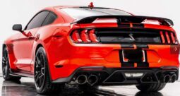 
										2020 Ford Shelby Gt500 full									