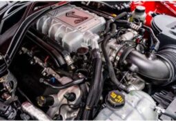 
										2020 Ford Shelby Gt500 full									