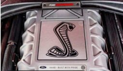 
										2020 Ford Shelby Gt500 full									