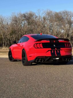 
										2020 Ford Shelby Gt500 full									