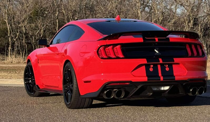 
								2020 Ford Shelby Gt500 full									