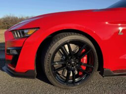 
										2020 Ford Shelby Gt500 full									
