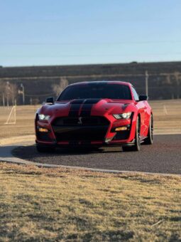 
										2020 Ford Shelby Gt500 full									
