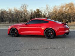 
										2020 Ford Shelby Gt500 full									