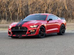 
										2020 Ford Shelby Gt500 full									