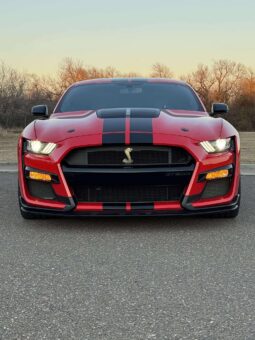 
										2020 Ford Shelby Gt500 full									