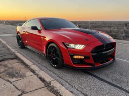 
										2020 Ford Shelby Gt500 full									