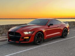 
										2020 Ford Shelby Gt500 full									